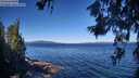 ./images/koeye/fitz-hugh/20260620/fitz-hugh20260620_095001M.jpg