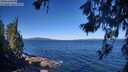 ./images/koeye/fitz-hugh/20260620/fitz-hugh20260620_100501M.jpg