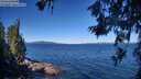./images/koeye/fitz-hugh/20260620/fitz-hugh20260620_101001M.jpg