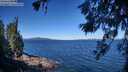 ./images/koeye/fitz-hugh/20260620/fitz-hugh20260620_102002M.jpg