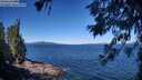 ./images/koeye/fitz-hugh/20260620/fitz-hugh20260620_102501M.jpg