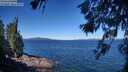 ./images/koeye/fitz-hugh/20260620/fitz-hugh20260620_103002M.jpg