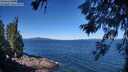 ./images/koeye/fitz-hugh/20260620/fitz-hugh20260620_104002M.jpg