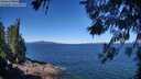 ./images/koeye/fitz-hugh/20260620/fitz-hugh20260620_105001M.jpg
