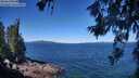 ./images/koeye/fitz-hugh/20260620/fitz-hugh20260620_110501M.jpg