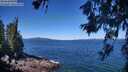 ./images/koeye/fitz-hugh/20260620/fitz-hugh20260620_112002M.jpg