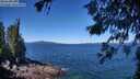 ./images/koeye/fitz-hugh/20260620/fitz-hugh20260620_112501M.jpg