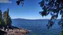 ./images/koeye/fitz-hugh/20260620/fitz-hugh20260620_113501M.jpg