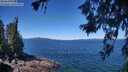 ./images/koeye/fitz-hugh/20260620/fitz-hugh20260620_114502M.jpg
