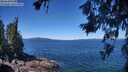 ./images/koeye/fitz-hugh/20260620/fitz-hugh20260620_115001M.jpg