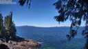 ./images/koeye/fitz-hugh/20260620/fitz-hugh20260620_115501M.jpg