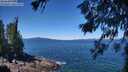 ./images/koeye/fitz-hugh/20260620/fitz-hugh20260620_120501M.jpg