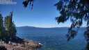 ./images/koeye/fitz-hugh/20260620/fitz-hugh20260620_121002M.jpg