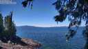 ./images/koeye/fitz-hugh/20260620/fitz-hugh20260620_124502M.jpg