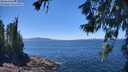 ./images/koeye/fitz-hugh/20260620/fitz-hugh20260620_133501M.jpg