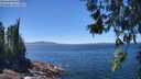 ./images/koeye/fitz-hugh/20260620/fitz-hugh20260620_134001M.jpg