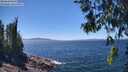 ./images/koeye/fitz-hugh/20260620/fitz-hugh20260620_135501M.jpg