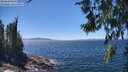 ./images/koeye/fitz-hugh/20260620/fitz-hugh20260620_140001M.jpg