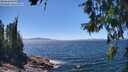 ./images/koeye/fitz-hugh/20260620/fitz-hugh20260620_140501M.jpg