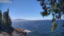./images/koeye/fitz-hugh/20260620/fitz-hugh20260620_141001M.jpg