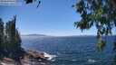 ./images/koeye/fitz-hugh/20260620/fitz-hugh20260620_141501M.jpg