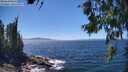 ./images/koeye/fitz-hugh/20260620/fitz-hugh20260620_142002M.jpg