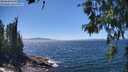 ./images/koeye/fitz-hugh/20260620/fitz-hugh20260620_142501M.jpg