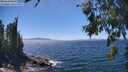 ./images/koeye/fitz-hugh/20260620/fitz-hugh20260620_143001M.jpg
