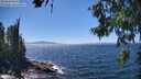 ./images/koeye/fitz-hugh/20260620/fitz-hugh20260620_143501M.jpg