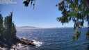 ./images/koeye/fitz-hugh/20260620/fitz-hugh20260620_145501M.jpg