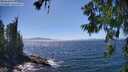 ./images/koeye/fitz-hugh/20260620/fitz-hugh20260620_150501M.jpg