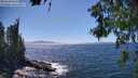 ./images/koeye/fitz-hugh/20260620/fitz-hugh20260620_151001M.jpg