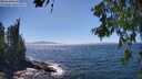 ./images/koeye/fitz-hugh/20260620/fitz-hugh20260620_151501M.jpg