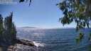 ./images/koeye/fitz-hugh/20260620/fitz-hugh20260620_152002M.jpg
