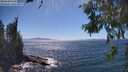 ./images/koeye/fitz-hugh/20260620/fitz-hugh20260620_152502M.jpg