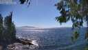 ./images/koeye/fitz-hugh/20260620/fitz-hugh20260620_153001M.jpg