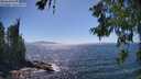 ./images/koeye/fitz-hugh/20260620/fitz-hugh20260620_154501M.jpg