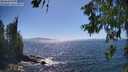 ./images/koeye/fitz-hugh/20260620/fitz-hugh20260620_155501M.jpg