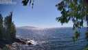 ./images/koeye/fitz-hugh/20260620/fitz-hugh20260620_160001M.jpg