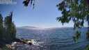 ./images/koeye/fitz-hugh/20260620/fitz-hugh20260620_160501M.jpg
