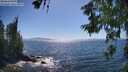 ./images/koeye/fitz-hugh/20260620/fitz-hugh20260620_161501M.jpg