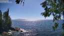 ./images/koeye/fitz-hugh/20260620/fitz-hugh20260620_162002M.jpg