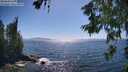 ./images/koeye/fitz-hugh/20260620/fitz-hugh20260620_162501M.jpg