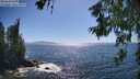 ./images/koeye/fitz-hugh/20260620/fitz-hugh20260620_163002M.jpg