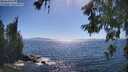 ./images/koeye/fitz-hugh/20260620/fitz-hugh20260620_163501M.jpg