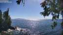 ./images/koeye/fitz-hugh/20260620/fitz-hugh20260620_164501M.jpg