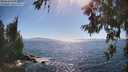 ./images/koeye/fitz-hugh/20260620/fitz-hugh20260620_165002M.jpg