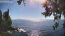 ./images/koeye/fitz-hugh/20260620/fitz-hugh20260620_165501M.jpg