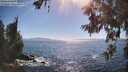 ./images/koeye/fitz-hugh/20260620/fitz-hugh20260620_170001M.jpg