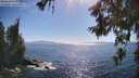 ./images/koeye/fitz-hugh/20260620/fitz-hugh20260620_170501M.jpg